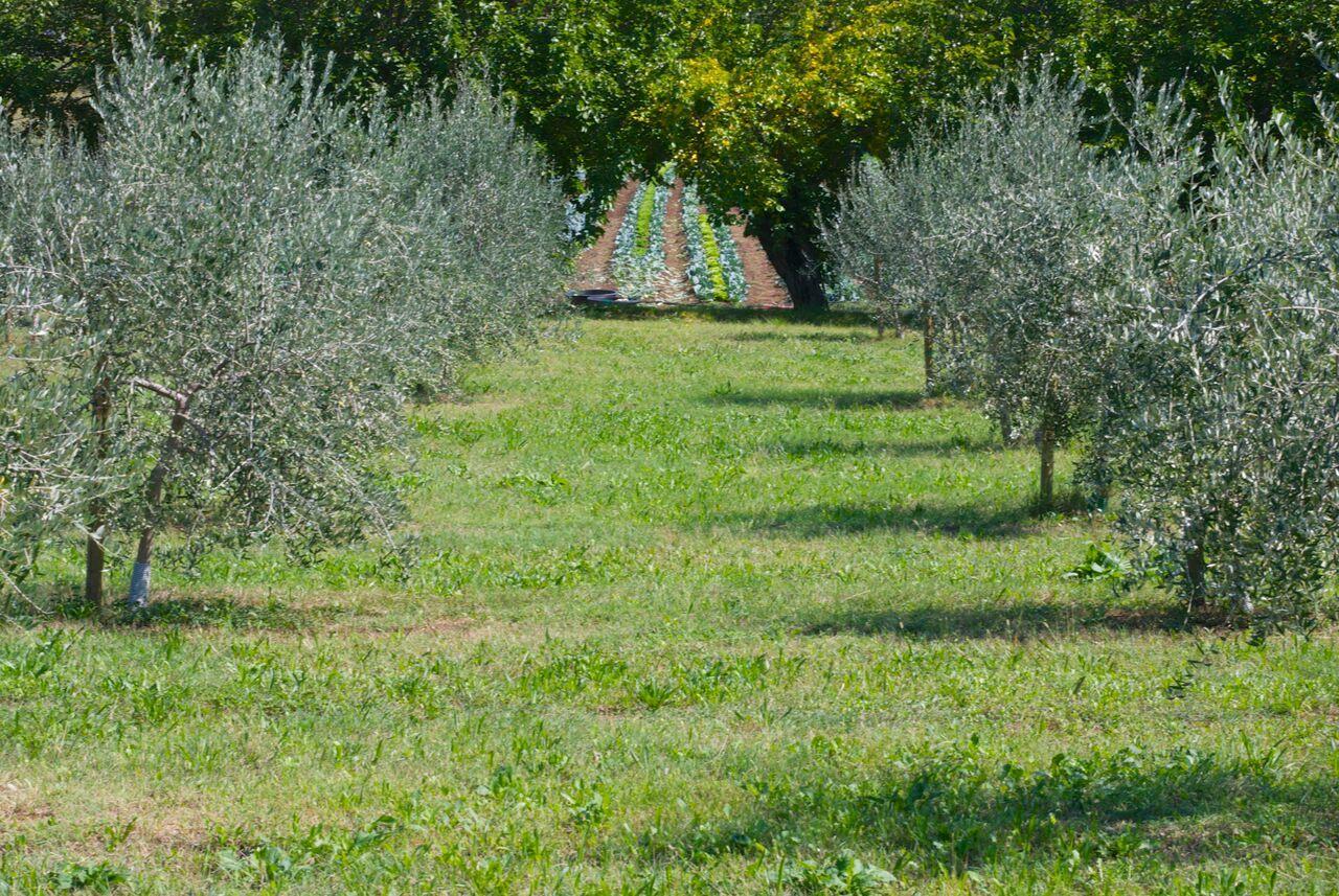 La Costa Fattoria Sociale Vila Sarcedo Exterior foto