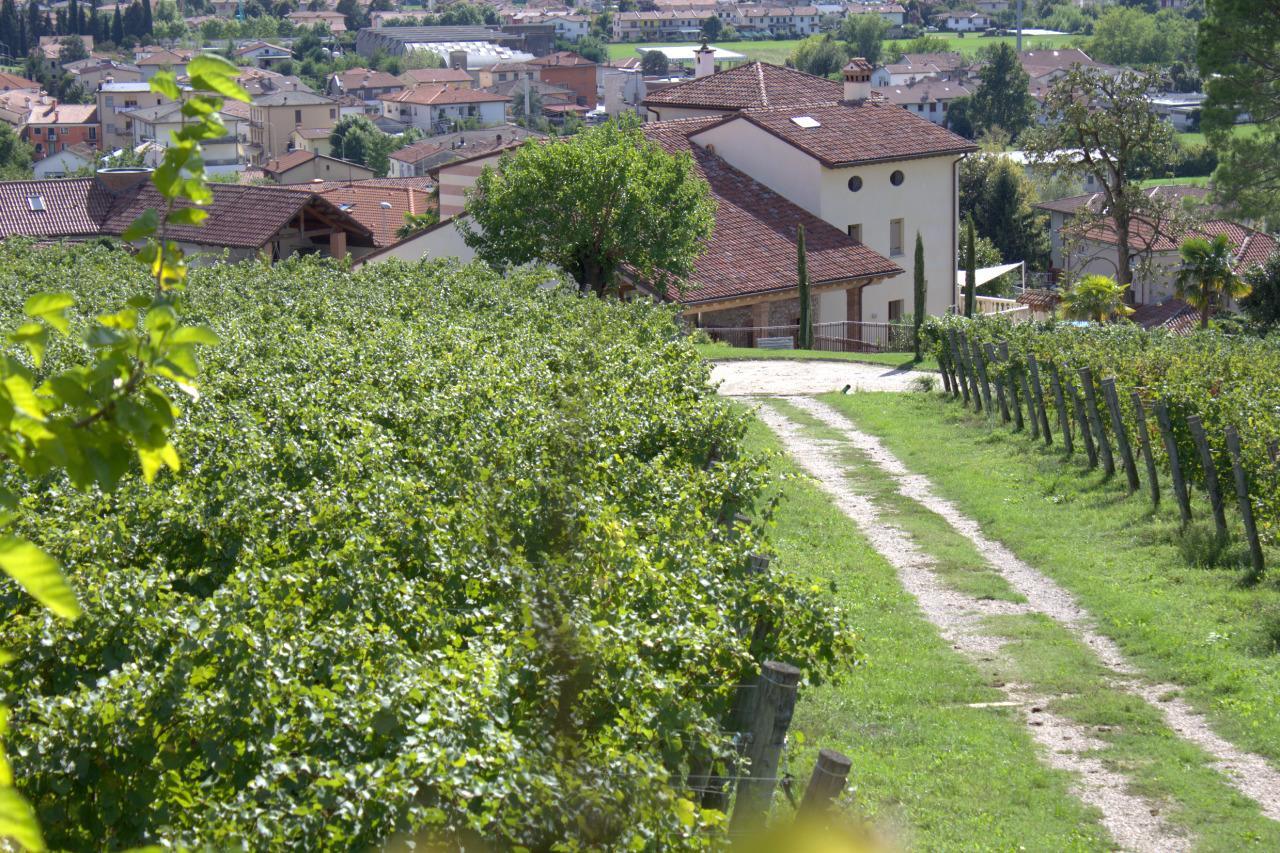 La Costa Fattoria Sociale Vila Sarcedo Exterior foto